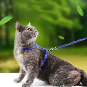 Harnais pour Chat Multicolor ( Arc en ciel | Bleu | Rose | Rouge | Noir | Violet )