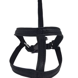 Laisse Harnais Noir – 25mmx120cm pour chien de grande race – CANIJESS