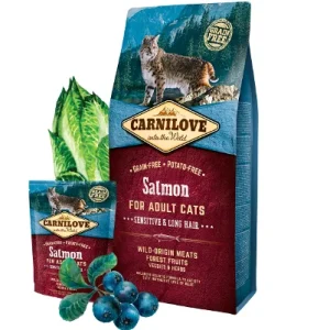 Carnilove Croquettes Cat Salmon Sensitive (DIGESTION SENSIBLE, POIL LONG) 2kg | 6kg