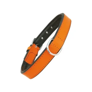 Collier en Cuire Rembourré Orange (Tailles 40cm | 45cm | 50cm)