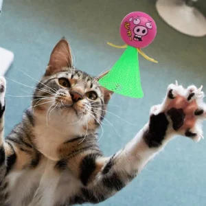 Balle qui saute pour chat