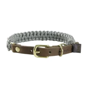 Sellerie Teckel  Collier Touch Gris