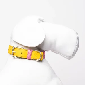 Sellerie Teckel  Collier Cuir Tressé (rose&jaune)