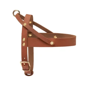 Sellerie Teckel  Harnais Cuir Butter Cognac