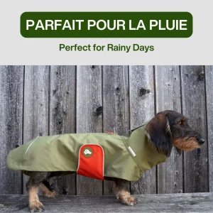 Vêtement Teckel  Imperméable Cooper Vert