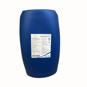 KENOMINT – Produit de Trempage mentholé