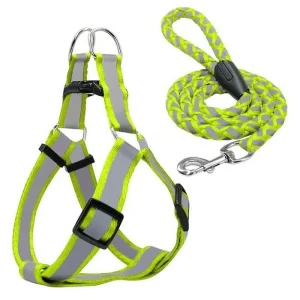 Laisse avec harnais réfléchissant L120cm
