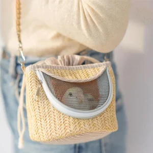 Sac à main pour perroquet en paille tissée